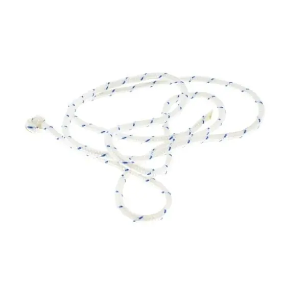 Startlina Endast denna vecka