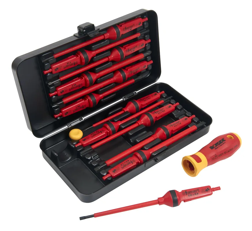 risnedsättning Skruvmejselsats