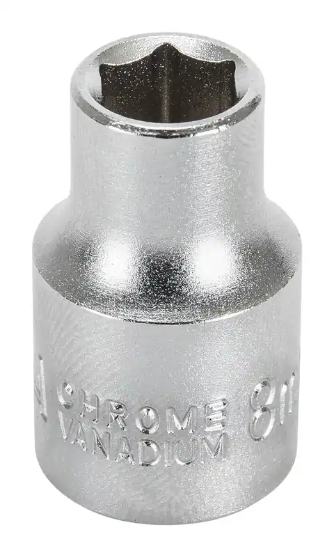 Sexkansbitshylsa Fynd