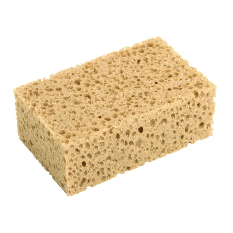 Snabb leverans Proffssvamp Grovporig Tebo