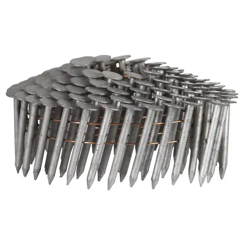 Spik Papp Rundbandad 31/38 Vg - 50080155 Expressleverans