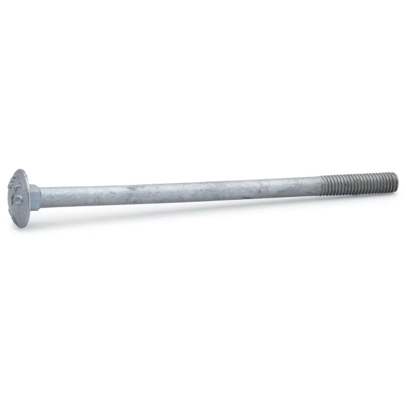 Expressleverans Vagnsbult 4,6 FZV M10x60mm 25st